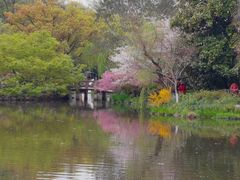 -杭州花家山庄