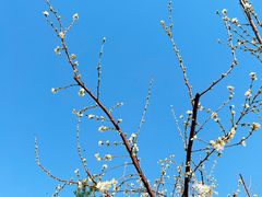 -北京雁栖湖国际会展中心