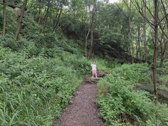 -云岫谷自然风景区