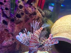 -沈阳海洋探索中心