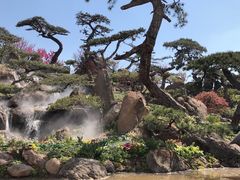 -罗红摄影艺术馆