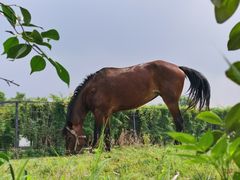 -武汉紫薇都市田园