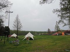 -黄海国家森林公园