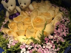 -蝶舍·MAISON PAPILLON