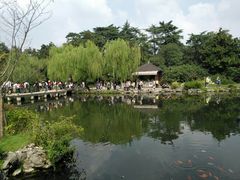 -西湖外事游船(花港观鱼码头)