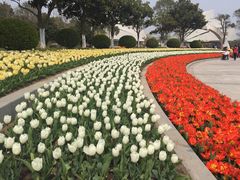 -上海鲜花港