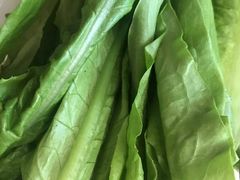 油麦菜-正能量脆肉鲩火锅