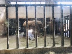 -石家庄市动物园