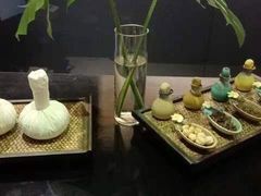 -南美元生态大酒店(海珠店)