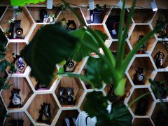 -北京天域联达耳机店(财智国际大厦店)