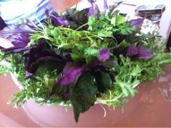 -小鼎锅菜馆(冲口路店)