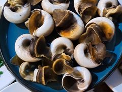 -第35届青岛国际啤酒节