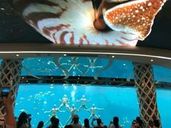 -亚龙湾海底世界