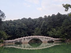 -铁山坪森林公园