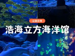 -成都浩海立方海洋公园