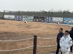 -盐城丹顶鹤湿地生态旅游区