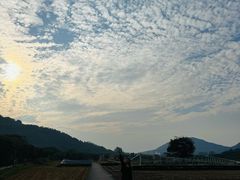 -风云岭森林公园