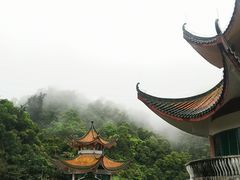-鼎湖山风景区