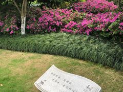 -杭州城北体育公园