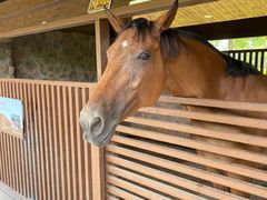 -珠海海泉湾神秘岛亲子乐园