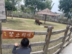 -祥源·阜阳生态乐园