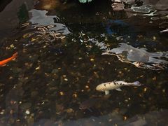 -广东大厦酒店(广州北京路步行街纪念堂地铁站店)