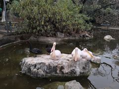 -昆明动物园
