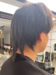 -YESIDO椰岛造型