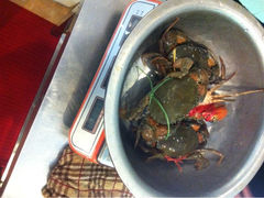 iphone_upload_pic-七欣天(杭州信义坊店)