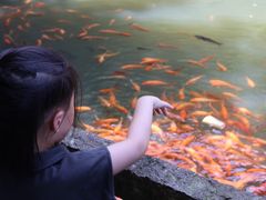 -龙瀑仙洞