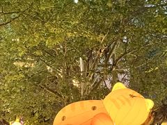 -西安电影制片厂