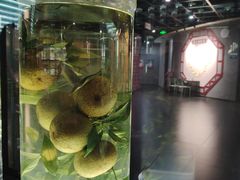 -广东中医药博物馆