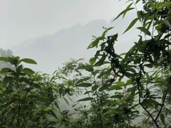 -青城山