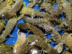 -徐记海鲜(南油永新汇店)