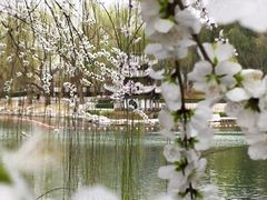 -陶然亭公园