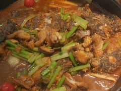 -老板恋上鱼(印象城店)