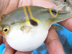 -新疆天山野生动物园