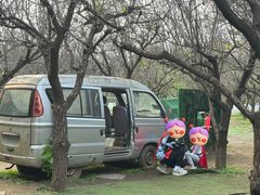 -尚庄度假村·庭台树下·户外烧烤·团建CS·轰趴营地(上庄水库店)