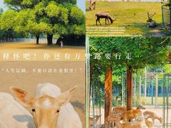 -南海子公园