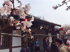 -王興記(中山路店)