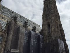 -斯蒂芬主教座堂(Stephansdom)