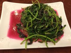 清炒米苋-老大同酒家·糟卤·本帮菜(中山公园店)