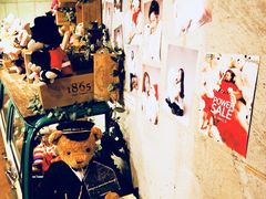 -济州岛泰迪熊博物馆