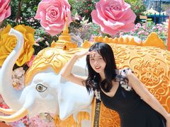 -乐华城·88度温泉乐园