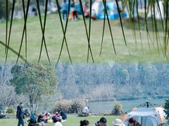 -瑶湖郊野森林公园