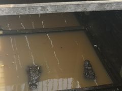 -洞里萨湖