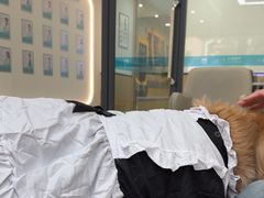 -贝利宠物医院·骨科·眼科·肿瘤转诊中心(南坪诊疗中心)