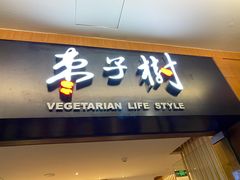 -枣子树·素食餐厅(普陀山店)