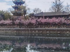-望江楼公园