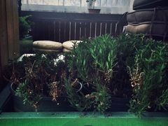 -沃德阿拉丁酒店(威海海滨南路韩乐坊店)